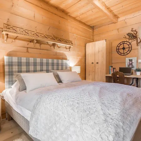 Bialy Potok 公寓 Witów