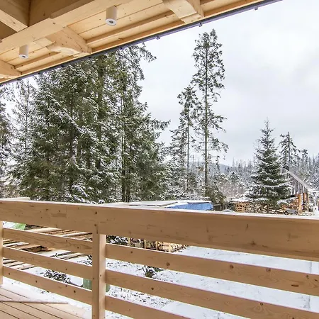 Bialy Potok Apartment Witow (Tatra)
