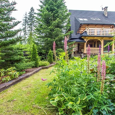 Bialy Potok Apartman Witów